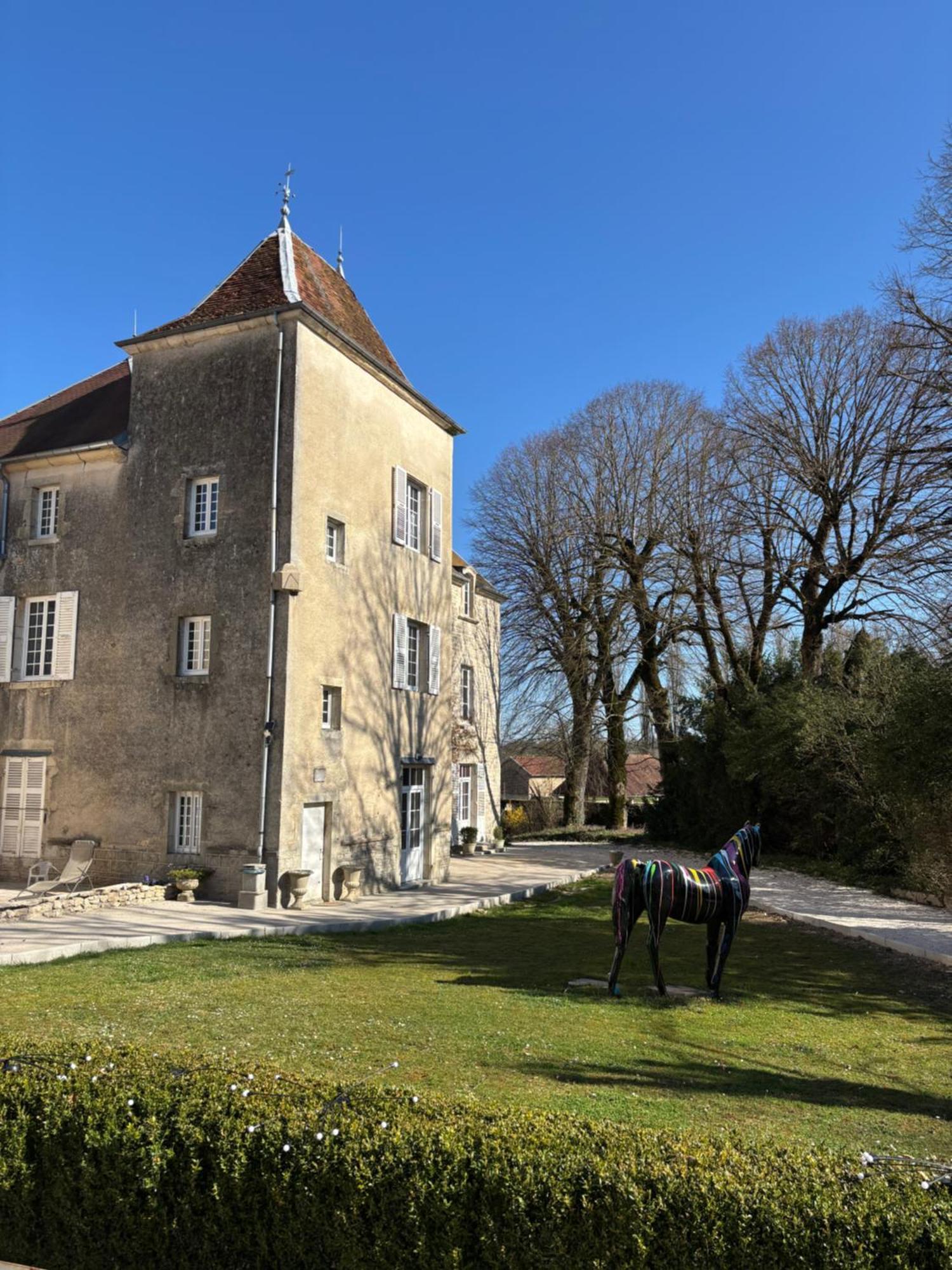 Chateau La Hussardiere Dampierre-sur-Salon Exterior foto